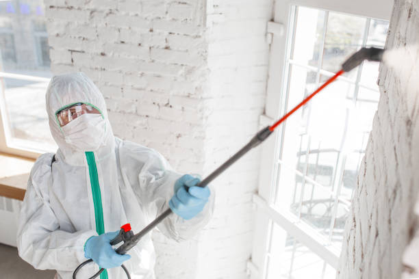 Best Post-Remediation Verification Testing  in Pleasureville, KY