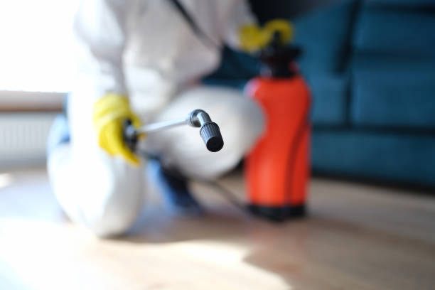 Asbestos and Lead Testing During Mold Inspection in Pleasureville, KY