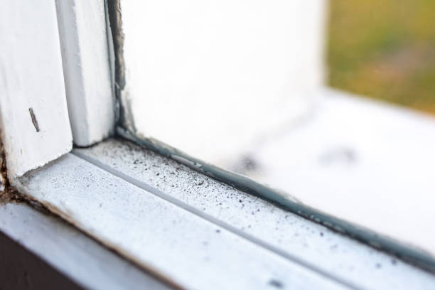 Best HVAC Mold Inspection and Cleaning  in Pleasureville, KY