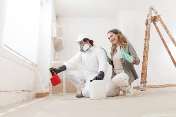 Best Asbestos and Lead Testing During Mold Inspection  in Pleasureville, KY